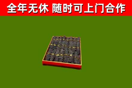 娄烦县回收海参